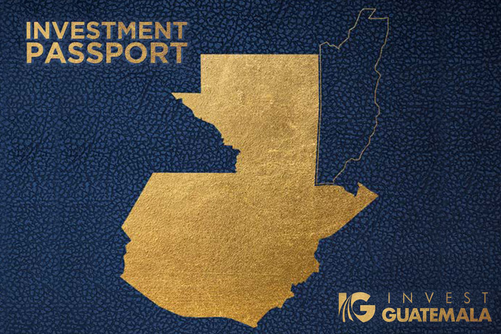 Resources 1 Investment Passport